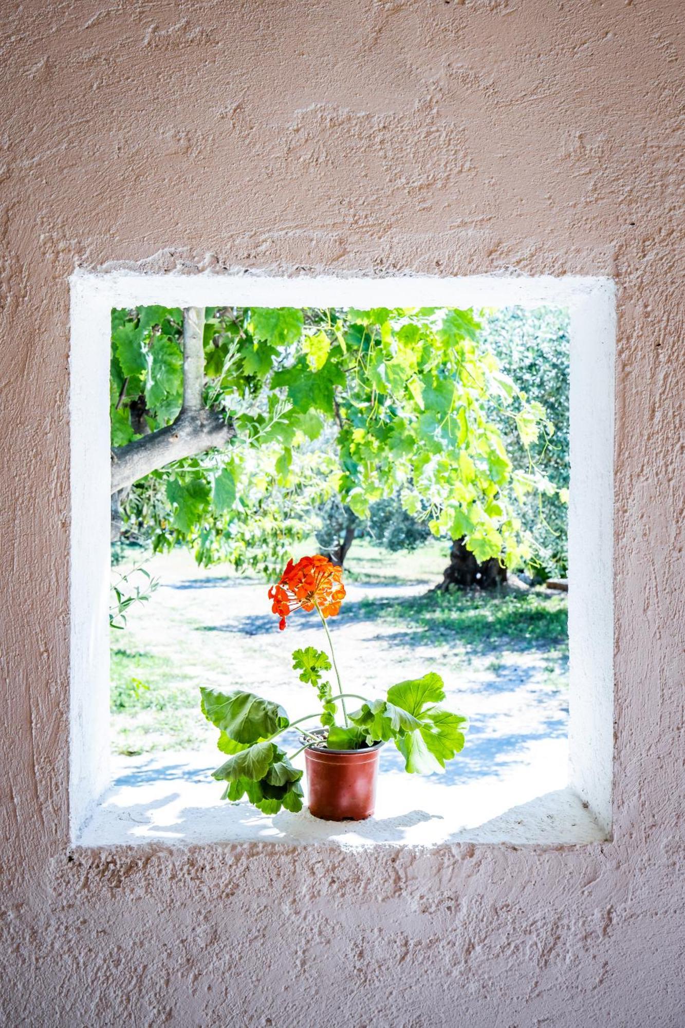 Eleonora'S Villa Skópelos Eksteriør bilde